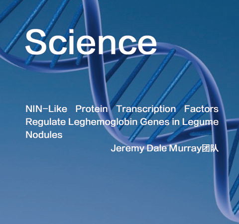 祝賀Jeremy Dale Murray團隊佳作榮登Science期刊！