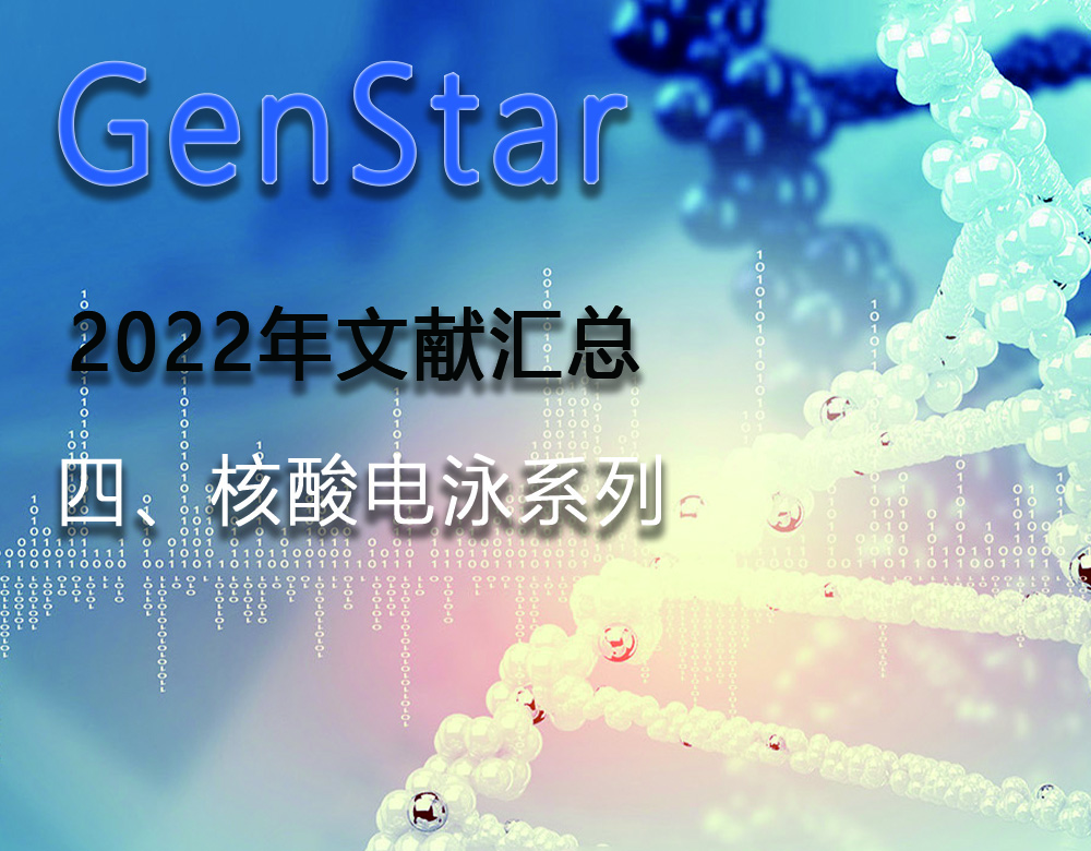 GenStar 2022年文獻匯總（四、核酸電泳系列）